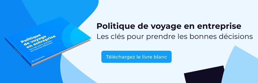 livre blanc politique voyage entreprise