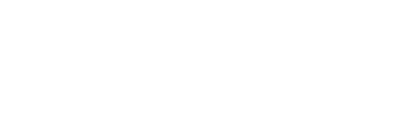 Logo Vinci Airports